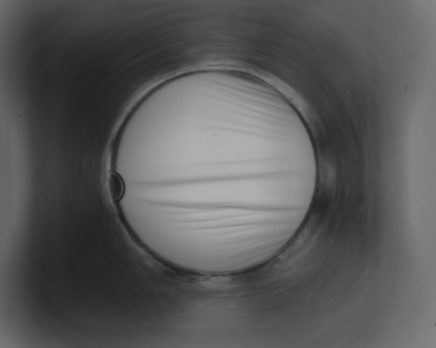 X0000100931006200807151240