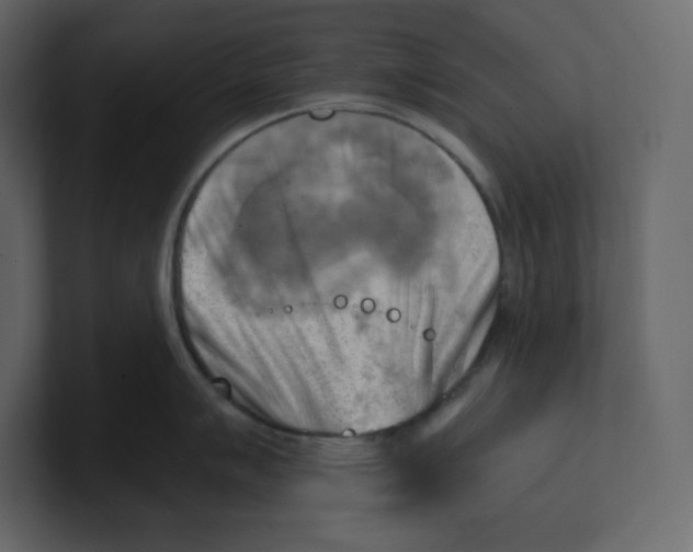 X0000100931007200807151240