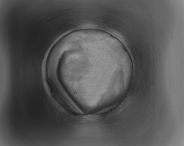 X0000100931008200807151240