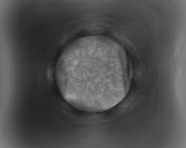 X0000100931010200807151239