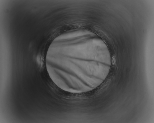 X0000100931011200807151239