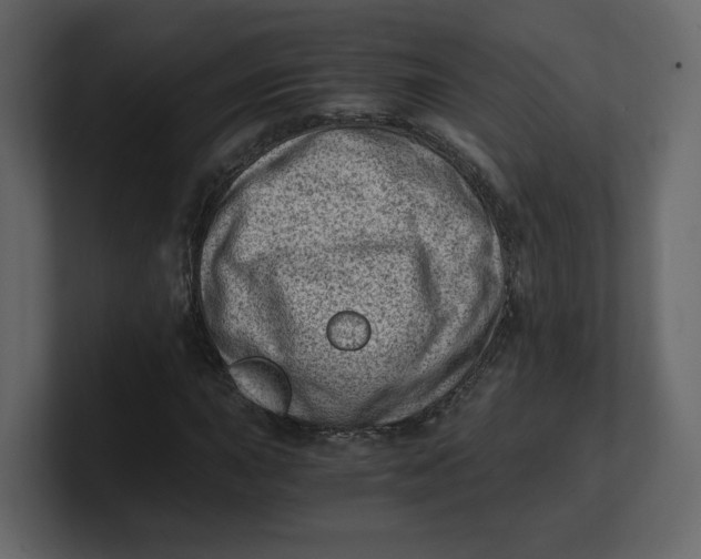 X0000100931015200807151239