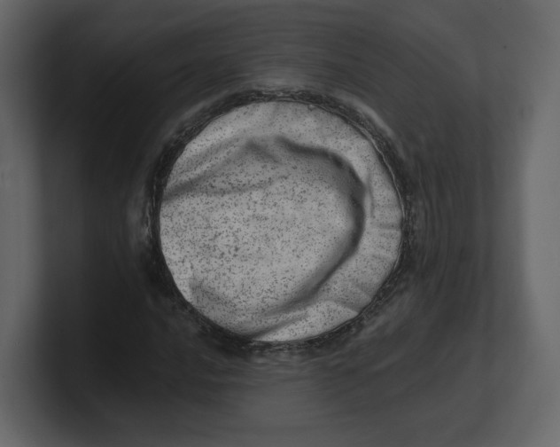 X0000100931016200807151239