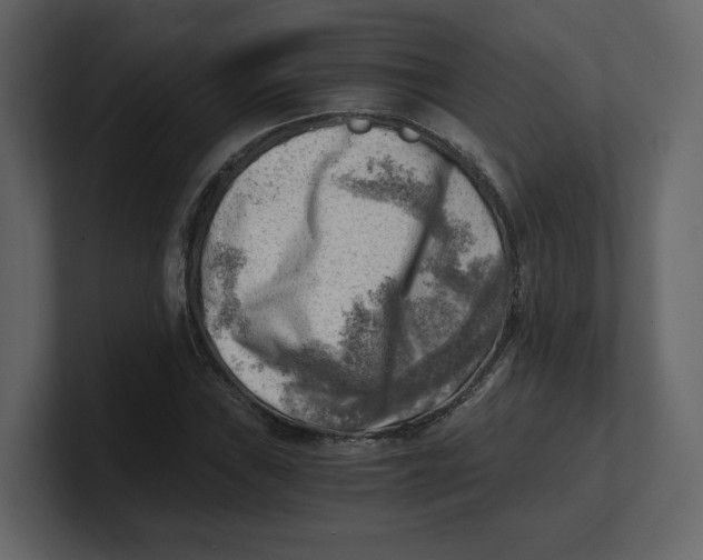 X0000100931019200807151239