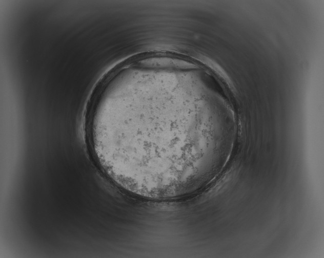 X0000100931020200807151239