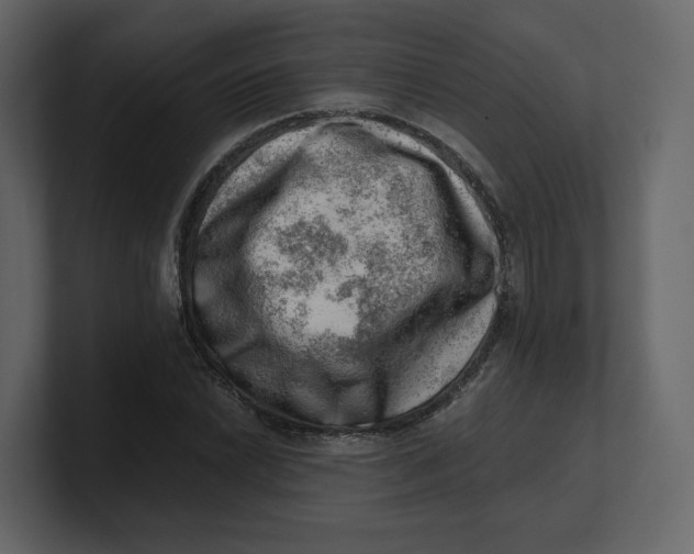 X0000100931022200807151239