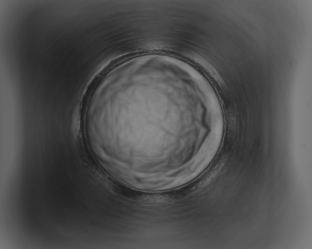 X0000100931023200807151239