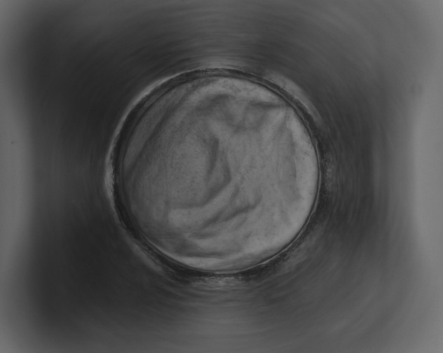 X0000100931024200807151239