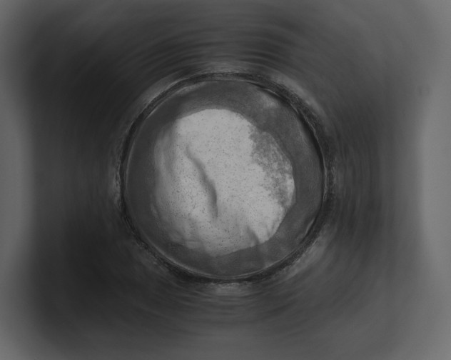 X0000100931025200807151239