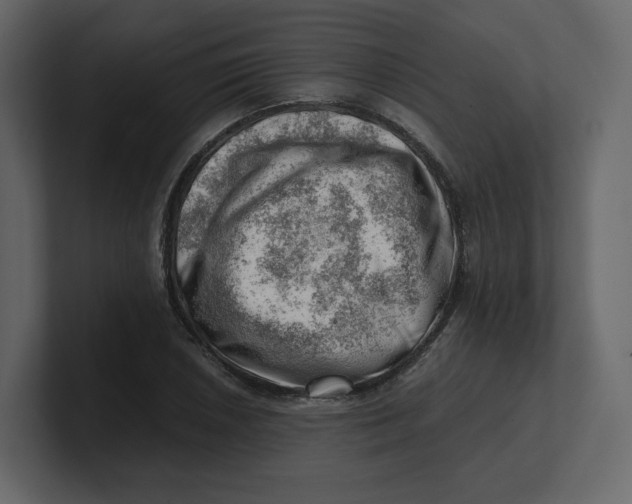 X0000100931026200807151239