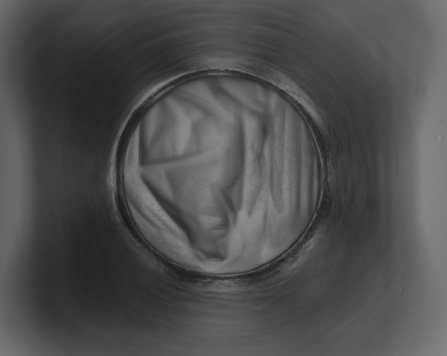 X0000100931028200807151239