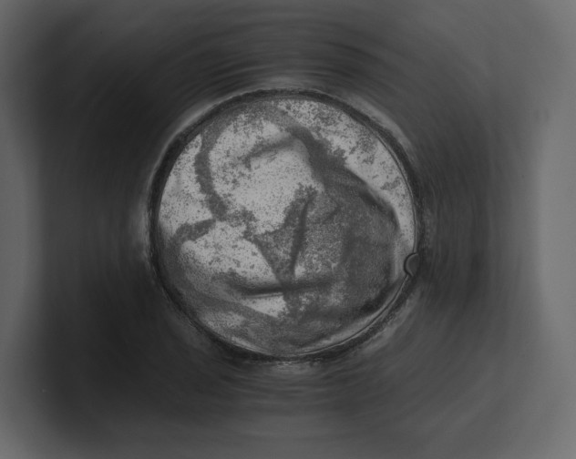 X0000100931029200807151239