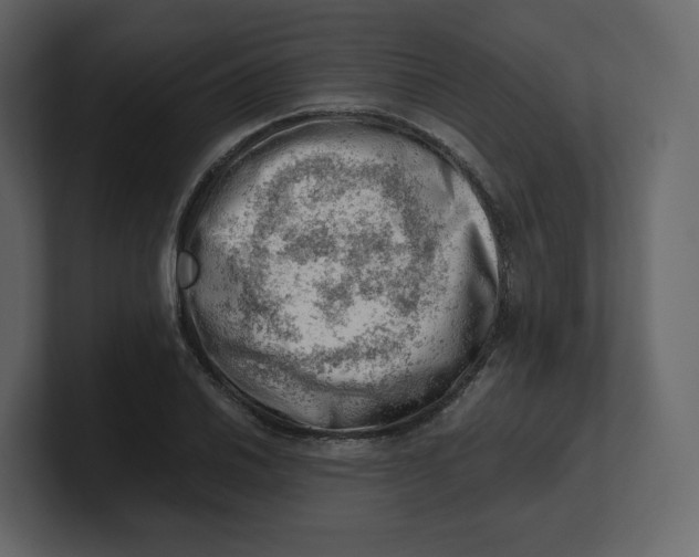 X0000100931030200807151239