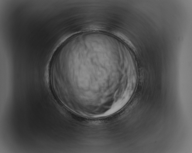 X0000100931031200807151239