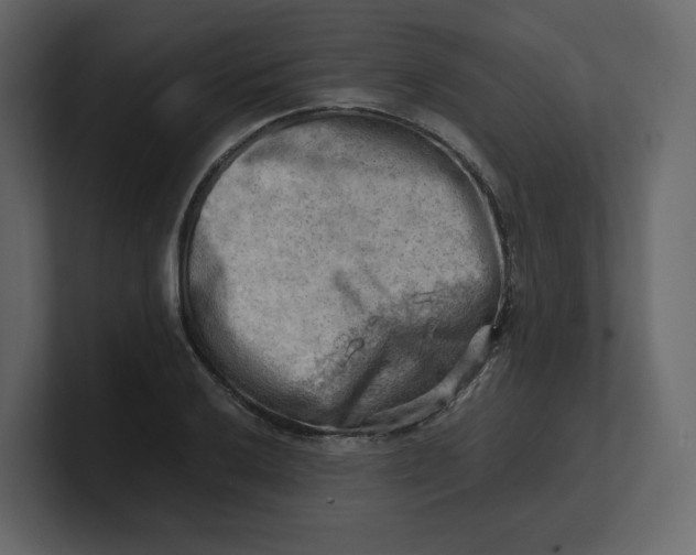 X0000100931032200807151239