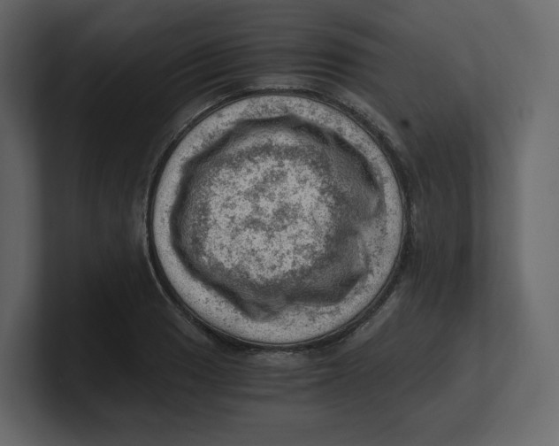 X0000100931033200807151240