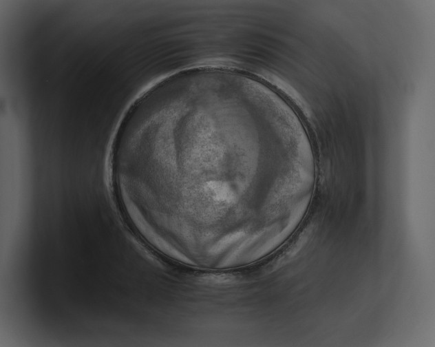 X0000100931037200807151240