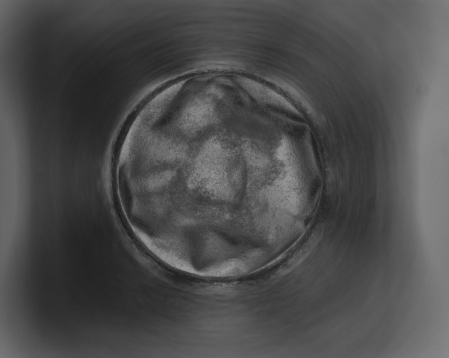 X0000100931038200807151240