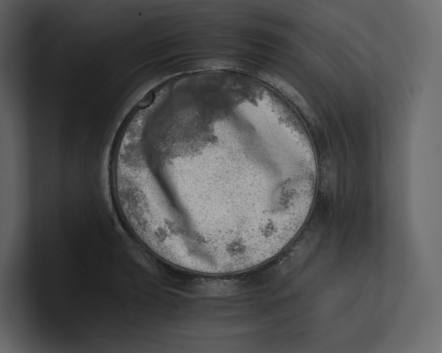 X0000100931039200807151240