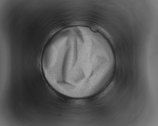 X0000100931041200807151240