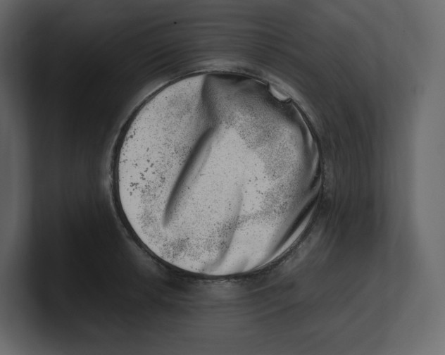 X0000100931042200807151240