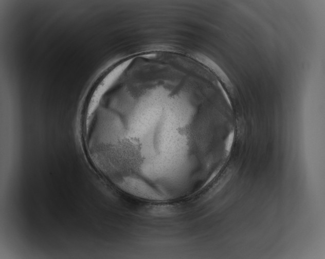 X0000100931043200807151240