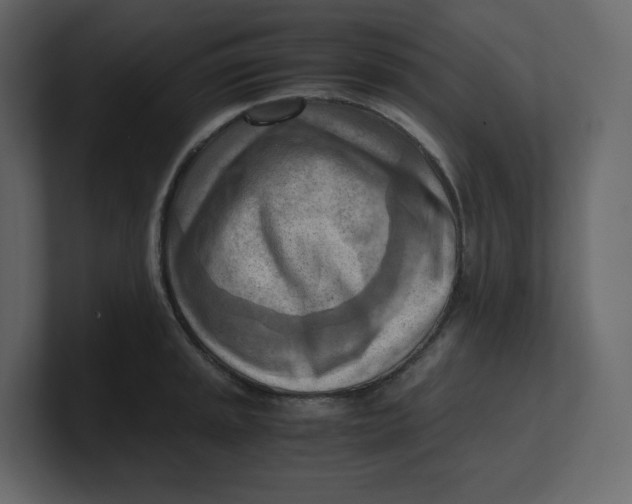 X0000100931045200807151240