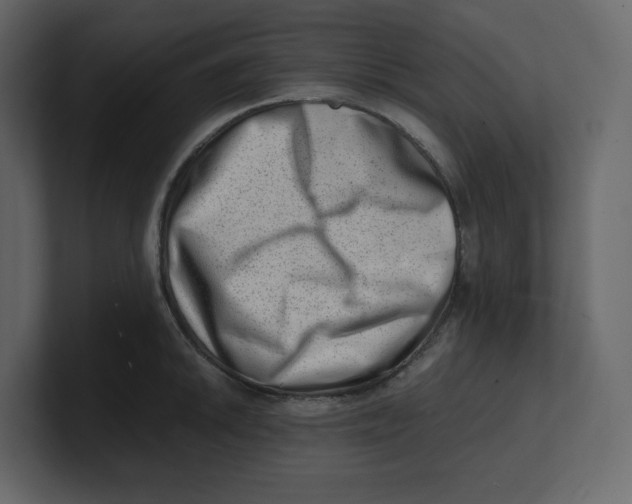 X0000100931046200807151240