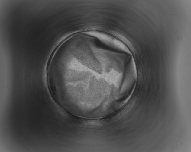 X0000100931047200807151240