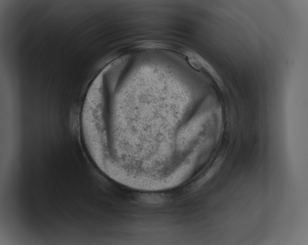 X0000100931049200807151240