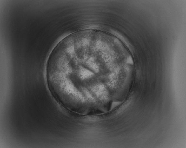 X0000100931050200807151240