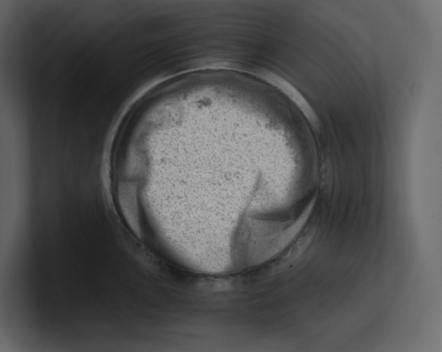 X0000100931051200807151240