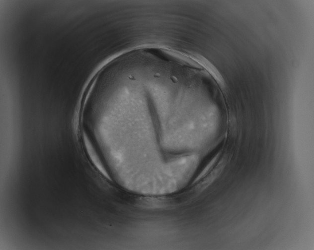 X0000100931052200807151240