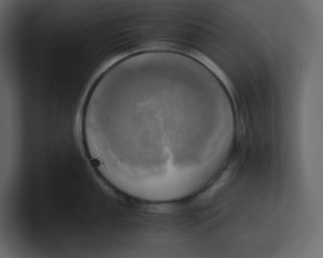 X0000100931053200807151240