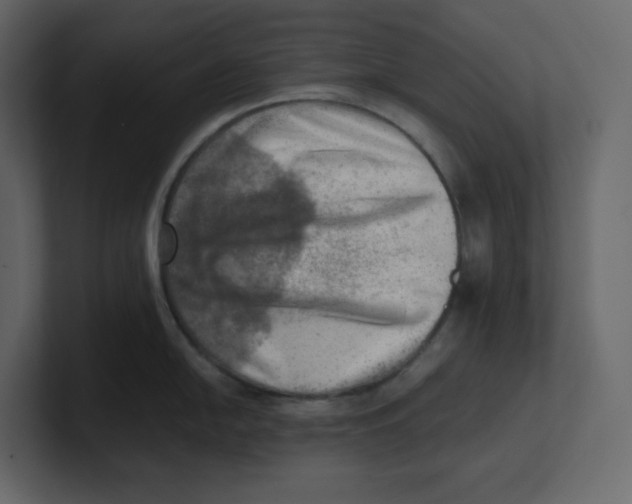 X0000100931054200807151240