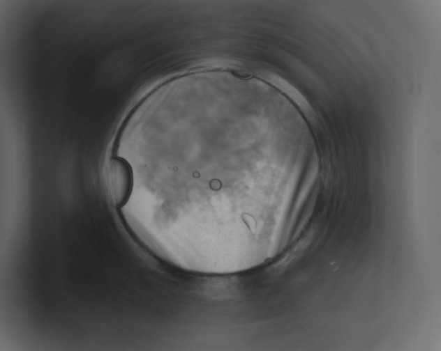 X0000100931055200807151240