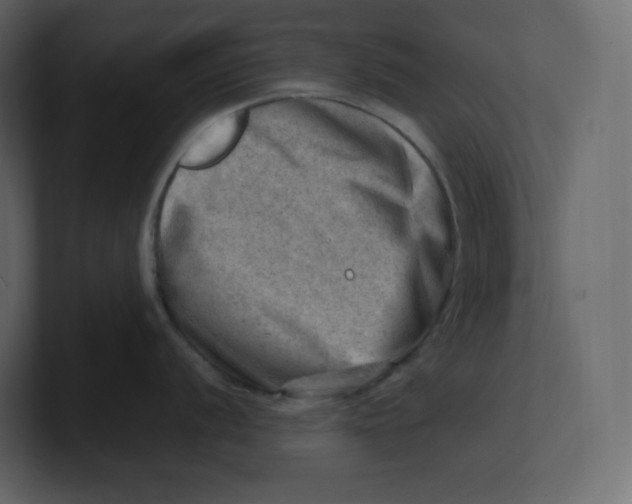 X0000100931056200807151240