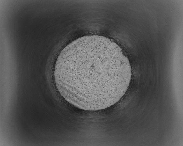 X0000100931057200807151239