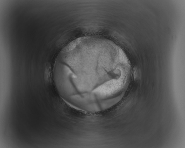 X0000100931059200807151239