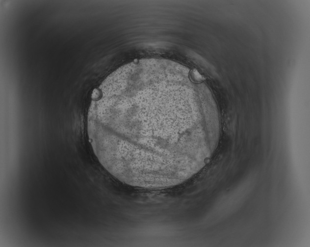 X0000100931061200807151239