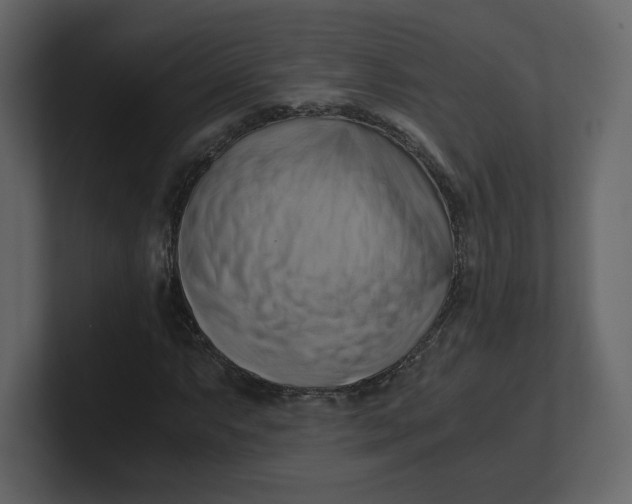 X0000100931063200807151239