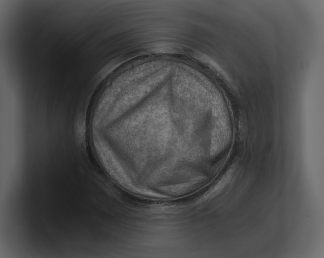 X0000100931065200807151239