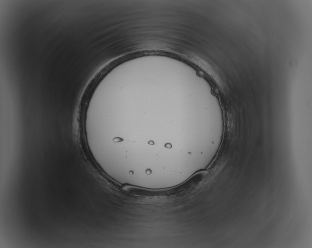 X0000100931068200807151239