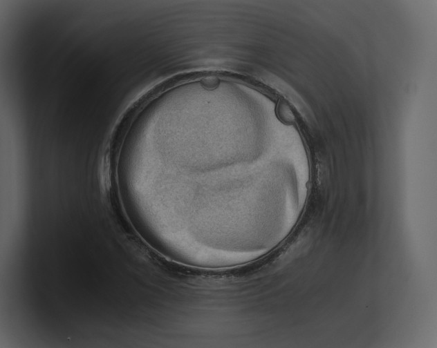 X0000100931069200807151239