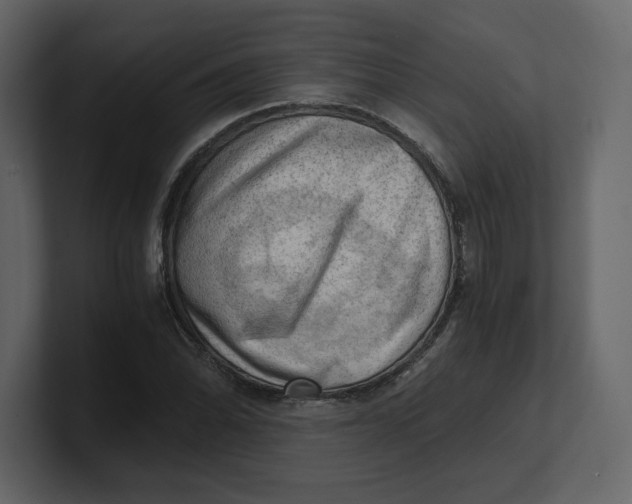 X0000100931070200807151239