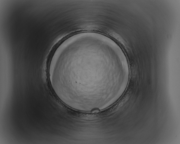 X0000100931071200807151239