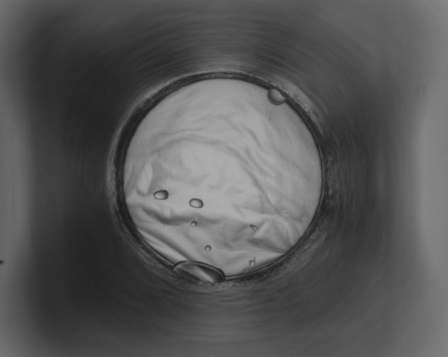 X0000100931072200807151239