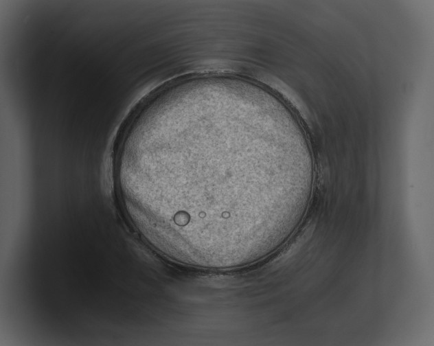 X0000100931075200807151239