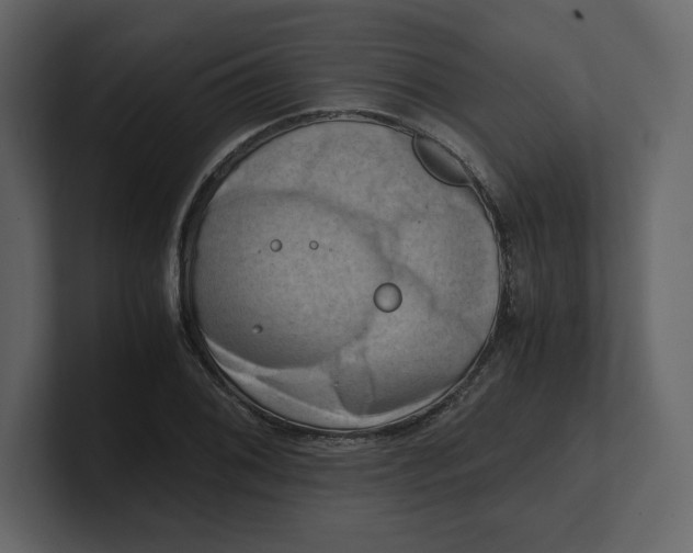 X0000100931076200807151239