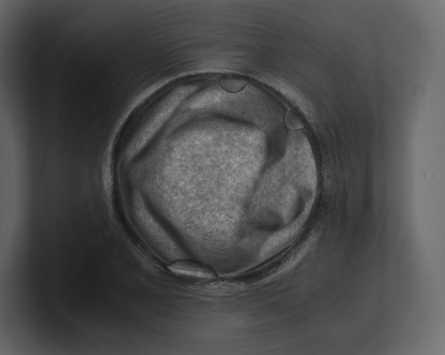 X0000100931077200807151239